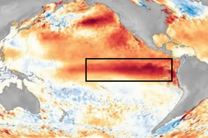 NOAA: El Niño se fortalece y eleva a 97 % probabilidad que se extienda hasta marzo de 2027